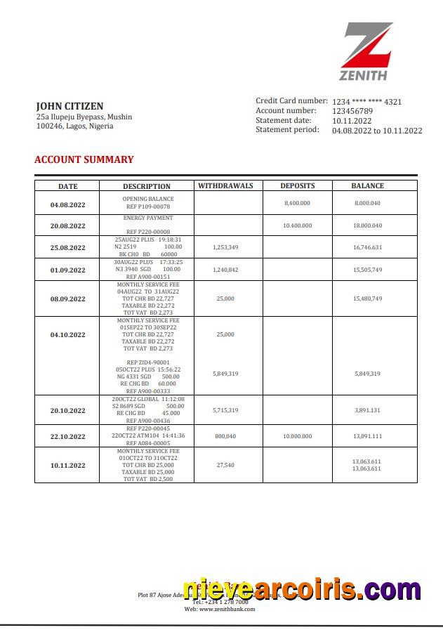 Nigeria Zenith Bank statement